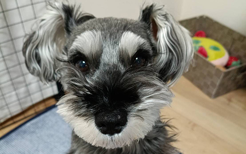 鶴田慎吾/保育士